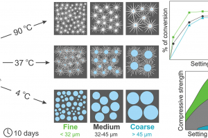 Implications of unconventional setting conditions on the mechanical strength of synthetic bone grafts produced with self-hardening calcium phosphate pastes