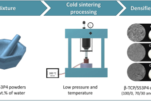 Cold sintering of ß-tricalcium phosphate/bioactive glass composites